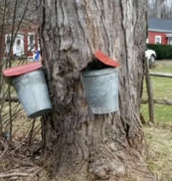 Taps and Buckets